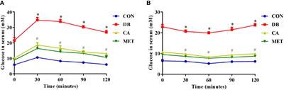 Chlorogenic acid improves glucose tolerance, lipid metabolism, inflammation and microbiota composition in diabetic db/db mice